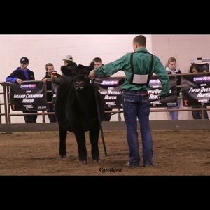 Meet your Posher, Cody